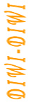 Logo DIWI